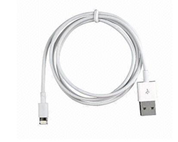 Apple iPhone 5/5C/5S/6 iPad Lightning to USB Charge Sync Cable Manufacturers/Suppliers